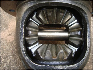 -image3.jpg