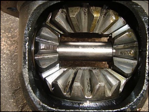 -image4.jpg