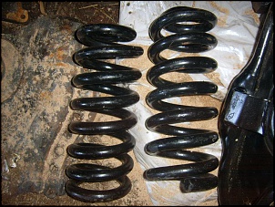 -suc55239.jpg