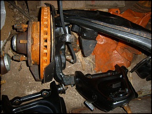 -suc55241.jpg