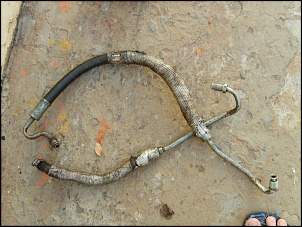 -s5001472.jpg
