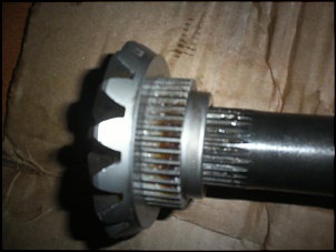 -000_0002_02.jpg