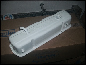 limpado a garagem-gedc4895.jpg