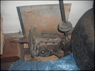 limpado a garagem-gedc4909.jpg