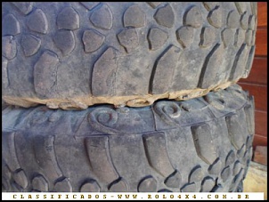 Pneus Genius Snake 1/2 vida-snake-3.jpg