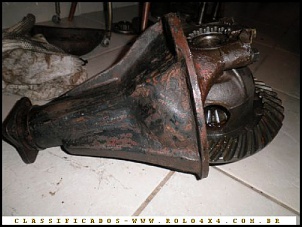 -focinho-2.jpg