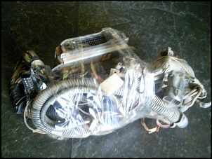 Motor 4.1 Mpfi powertech- Gasol. R.000-foto0674.jpg