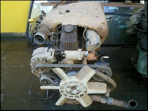Motor 4.1 Mpfi powertech- Gasol. R.000-foto0677.jpg