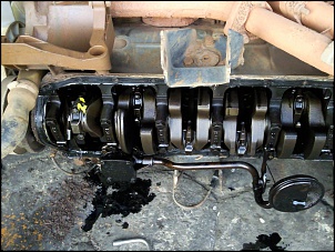 Motor 4.1 Mpfi powertech- Gasol. R.000-foto0684.jpg