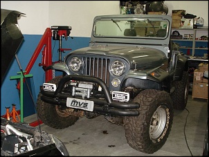 Paralamas CJ5 Fiber-43.jpg
