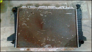 Radiador F1000 4.9-2013-12-03-382.jpg
