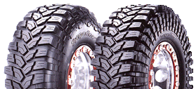 Pneus Maxxis-tire_trepag_100.gif