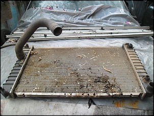 limpeza de garagem-sam_0461.jpg