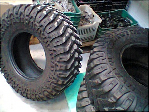 Pneus 33x13.5 Maxxis Mudzila-foto0092.jpg
