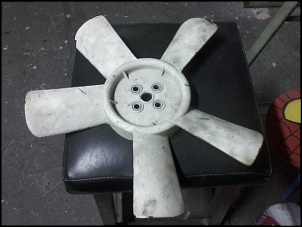 limpeza da garagem-cel-fotos-arquivos-277.jpg