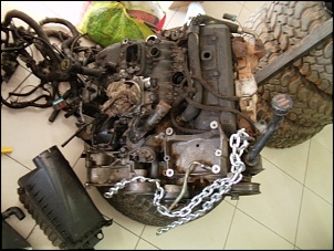 Powertrain p/ Crawler : eixos F250 + vortec 4.3 + cambio ZF4hp + Tcase Hilux-vortec-v6b.jpg