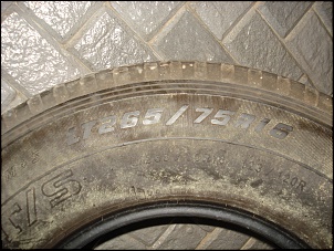 -carcacas-pneus-009.jpg