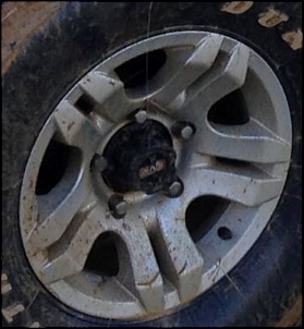 -roda-livre.jpg