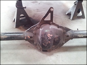 Dana 60HD Pantanal-20130731_134520.jpg