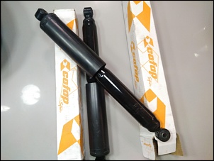 Vendo Par de Amortecedores Cofap BL 1007, novos, prontos para traseira do Jimny-ac.jpg