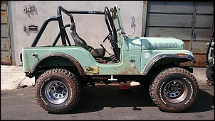 Jeep CJ-5 1974 - DESMONTE-dsc_0040.jpg