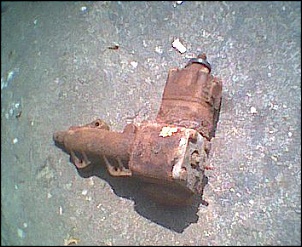 -image3.jpg