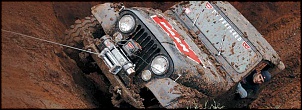 VENDA DE ADESIVOS PARA SUA VIATURA!!!-truck-auto.jpg