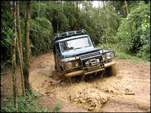 -trilha-101.jpg