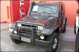 Enfeite pro Troller-enfeite3.jpg