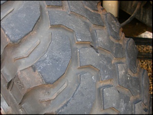 BF 31 Mud-cimg0360.jpg