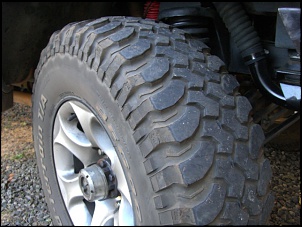 BF 31 Mud-cimg0362.jpg