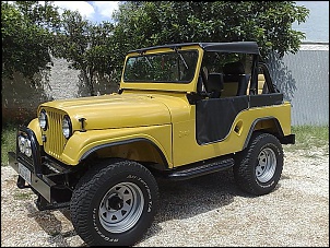 Vendo jeep Willys 1960-25022008118.jpg