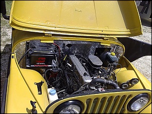 Vendo jeep Willys 1960-25022008122.jpg