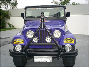 Vendo Jeep Willys (R000,00)-s4020286.jpg