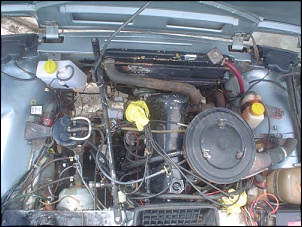 Niva 90/91 alcool - Motor e Susp. Novos-niva-008.jpg