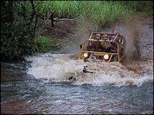 VENDO GAIOLA CROSS ( RIBEIRAO PRETO-SP) VENDIDO-dsc00160_192.jpg