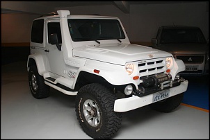 Vendo Troller 05 (Sei que vou me arrepender)!!!!!!!!-troller-063.jpg