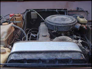 -transf-440.jpg
