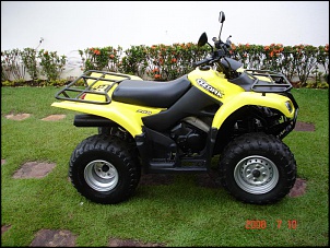 Vendo Quadriciclo SUZUKI OZARK 250 cc-dsc09893.jpg