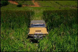 Vende-se Engesa 1987 e Niva 1990-dsc04280-480x320.jpg