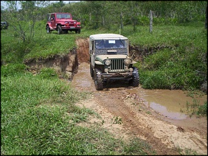 Vendo Jeep 52 Motor Ap 1.8 Gasolina-9-amparo-na-trilha-052.jpg