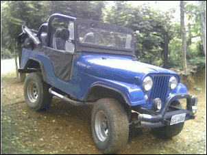 Vendo Jeep Willys 1964-screenhunter_01-feb.-02-09.08.gif