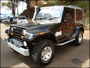 Vendo Troller RF SPORT 99/00-dsc05706.jpg