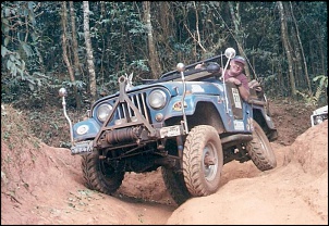 Vendo JEEP FORD WILLYS 71-foto5-focada-.jpg