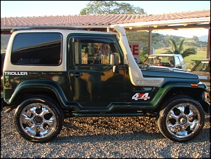 Vendo Troller 2006-dsc06624.jpg
