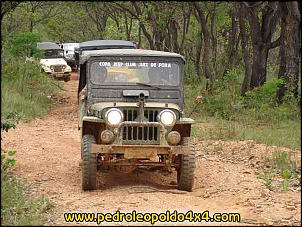 [VENDO] Jeep Willys 1951-1236260176_dsc08244.jpg