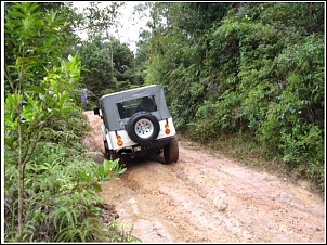 Vendo Ford/Willys - 1982-jeep_006.jpg