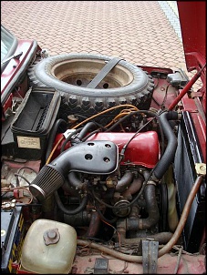 -niva5.jpg