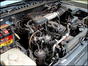 [VENDO] Vitara 95-dsc00518.jpg