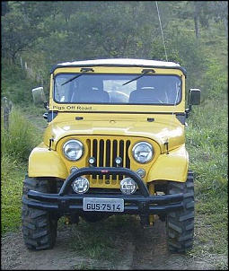 Vendo Jeep Willys 1973 - Belo Horizonte/MG - Bob Esponja-bob.jpg